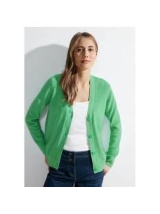 CECIL  tricot pull's en gilets groen/color