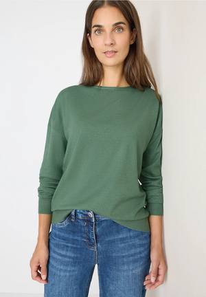 Tricot Pull Groen/color