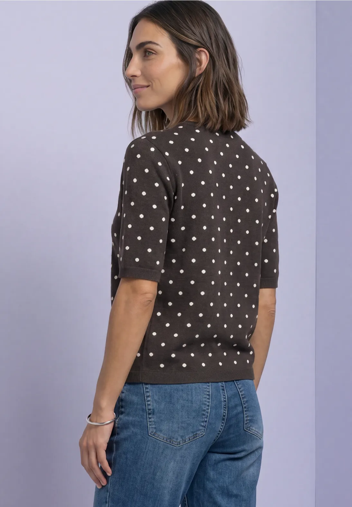 Tricot Pull D. Bruin/color