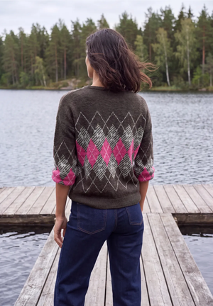 Tricot Pull D. Bruin/multi