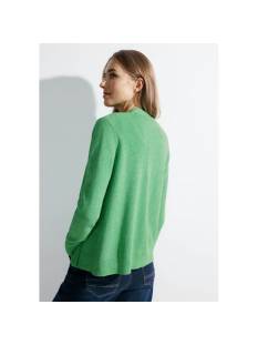 CECIL  tricot pull's en gilets groen/color -  model b253754 - Dameskleding tricot pull's en gilets groen