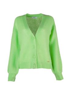 VILA JOY  tricot pull's en gilets licht groen